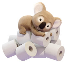 tp-koala-2.jpg