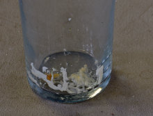 Milk Stains