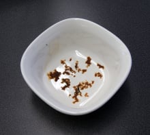 Whirlpool WDF310PAAS—Cheese Stain After Heavy Cycle