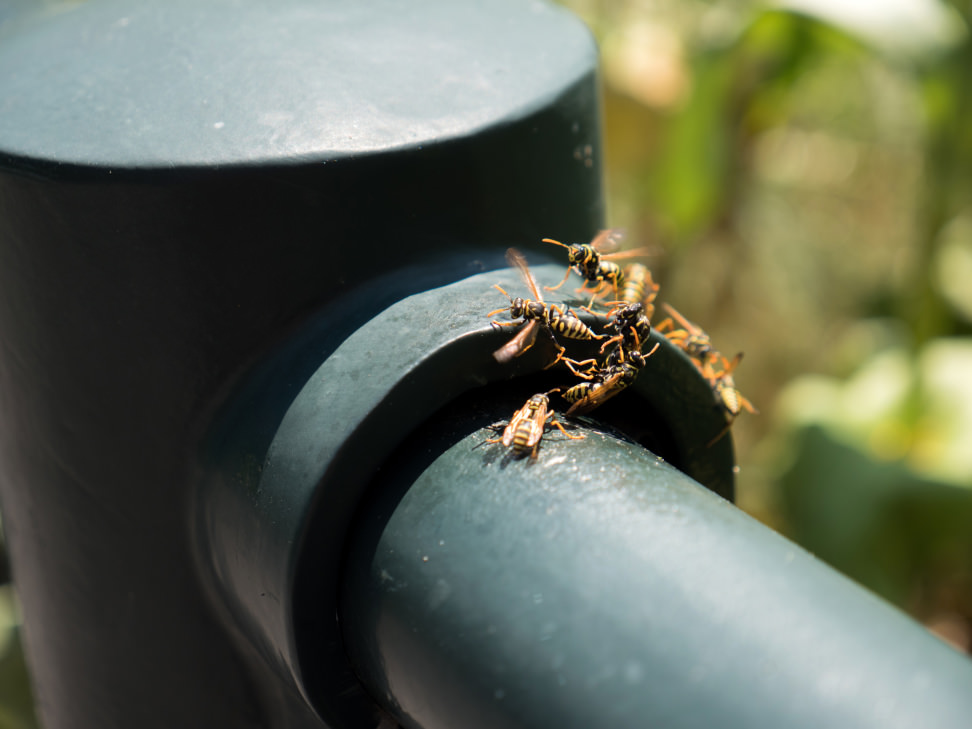 Panasonic Lumix GX8 Sample 5