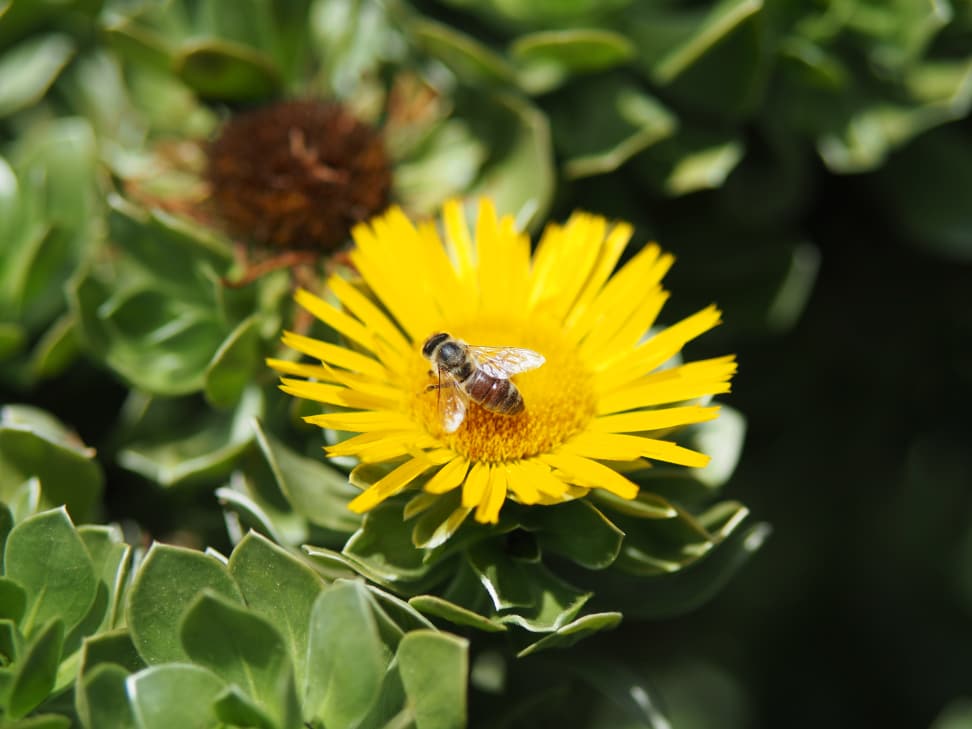 Panasonic 42.5mm f/1.7 Sample 4