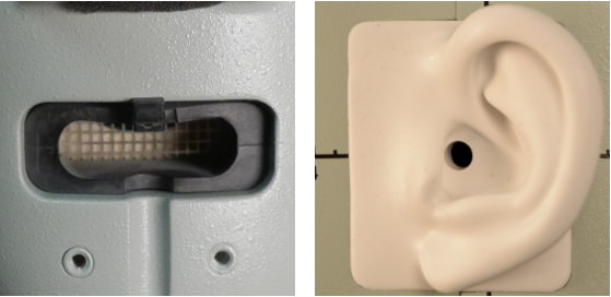 mouth and ear.jpg