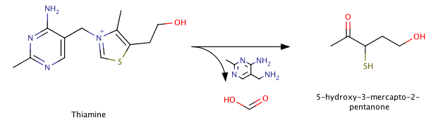 thiamine degradation.png