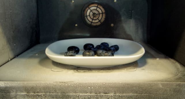 Frigondas Microwave Freezer With Blueberries