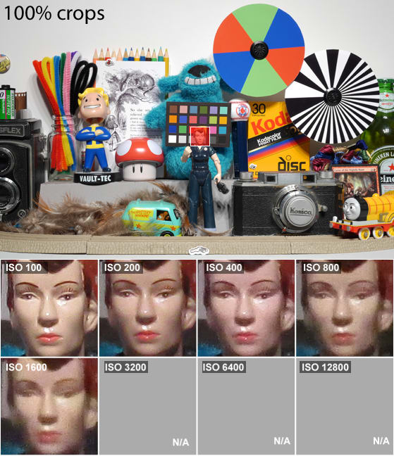 DCI-SCIENCE-PAGE-ROSIE.jpg