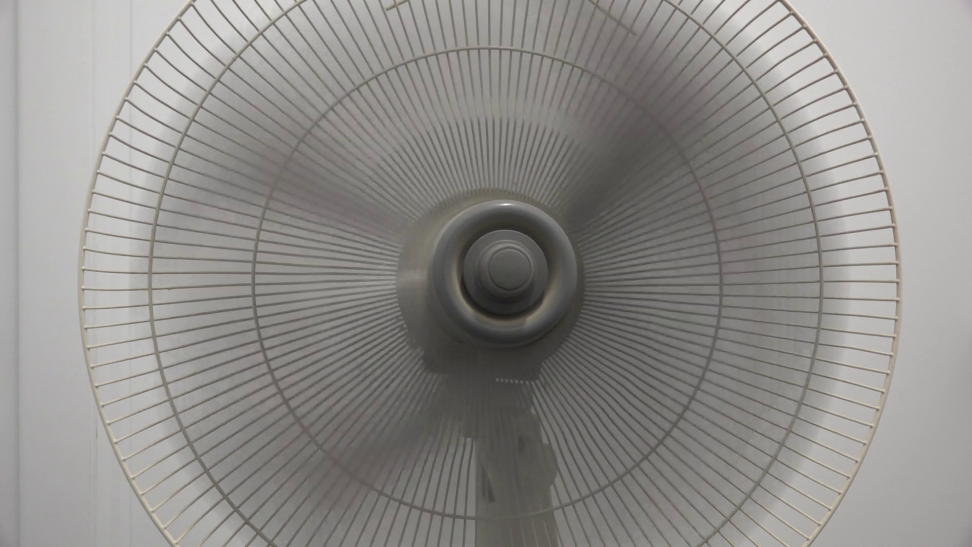 ax100-rolling-shutter-vis.png