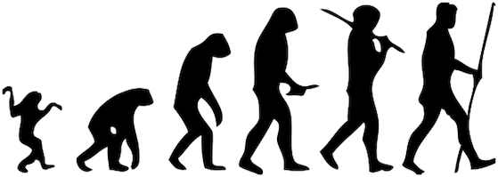 evolution.jpg