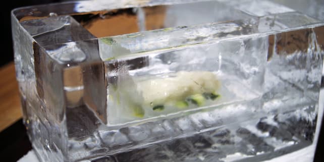 Miele Dialog — cooked fish, frozen ice