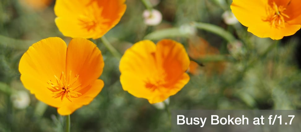 Busy Bokeh