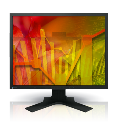 Product Image - Eizo S2133