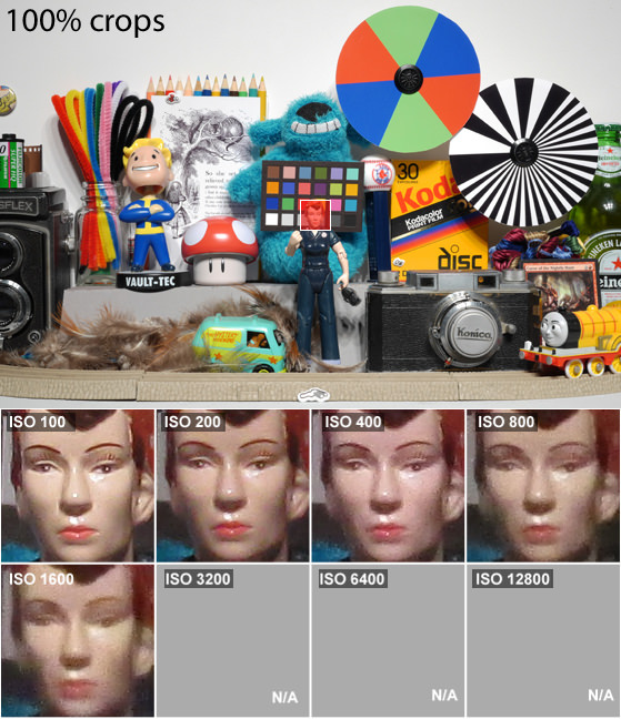 DCI-SCIENCE-PAGE-ROSIE.jpg