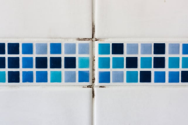 Moldy tile