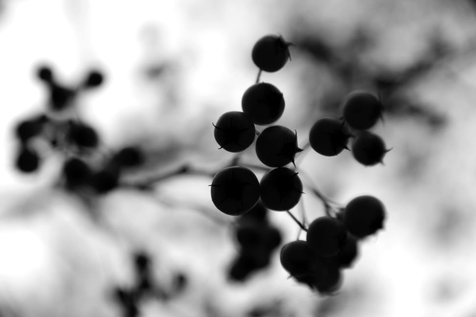 SAMSUNG-NX1-SAMPLE18.jpg