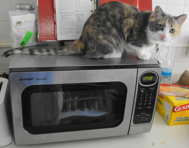 Microwave