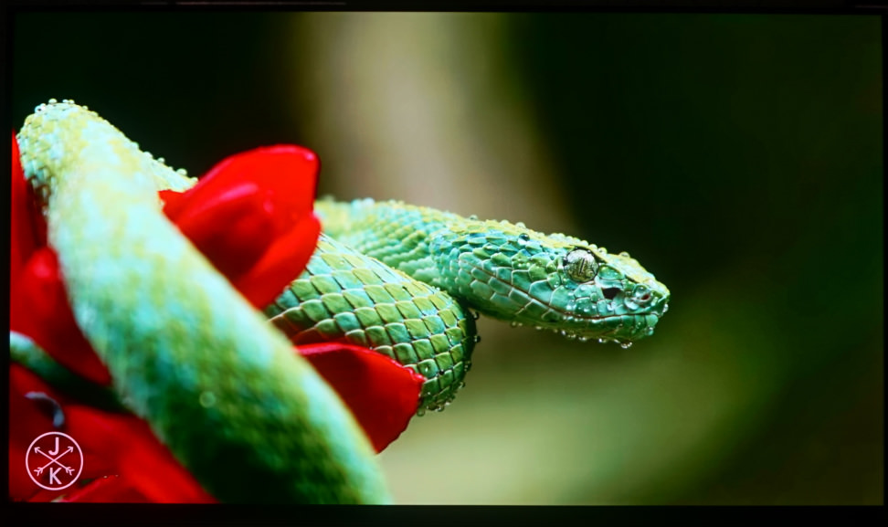 E6-HDR-4K
