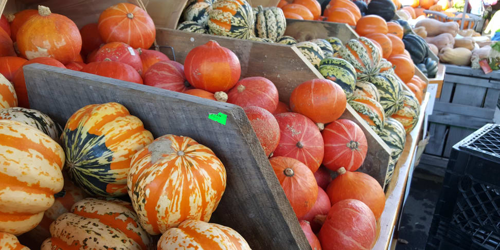 Note 5 Sample Image - Produce