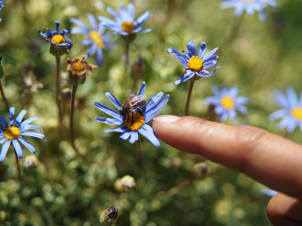 Panasonic 42.5mm f/1.7 Sample 10