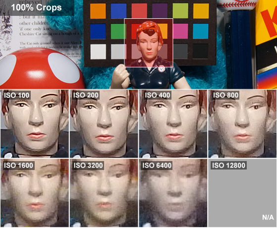 DCI-ROSIE.jpg