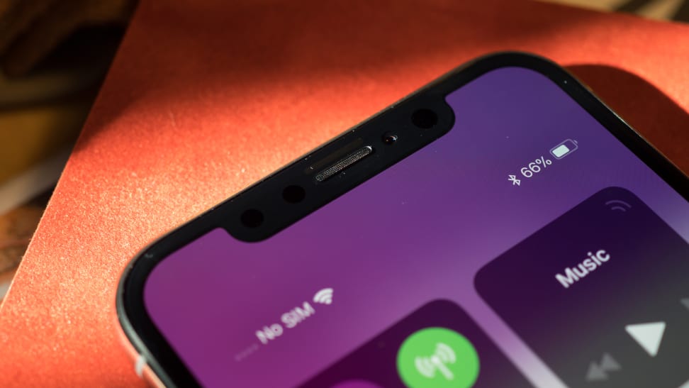 Apple iPhone X Notch
