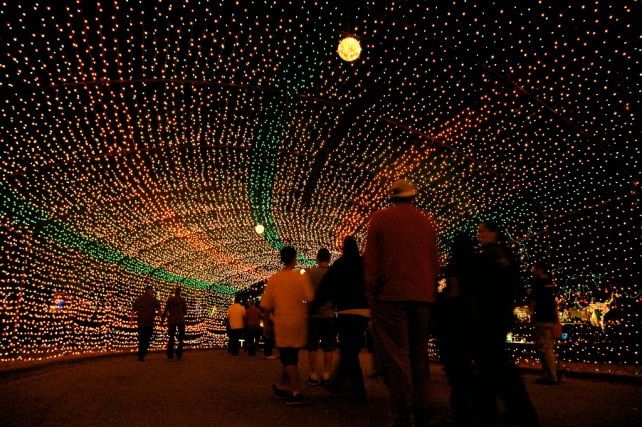 Trail of Lights-flickr austins_only_paper.jpg