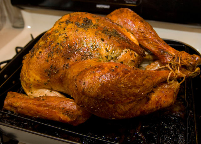 Thanksgiving-turkey.jpg