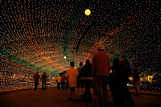 Trail of Lights-flickr austins_only_paper.jpg