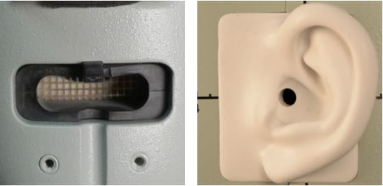 mouth and ear.jpg