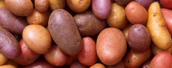potatoes.jpg