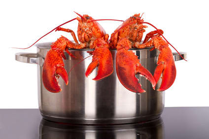 Fotolia_38105198_XS.jpg