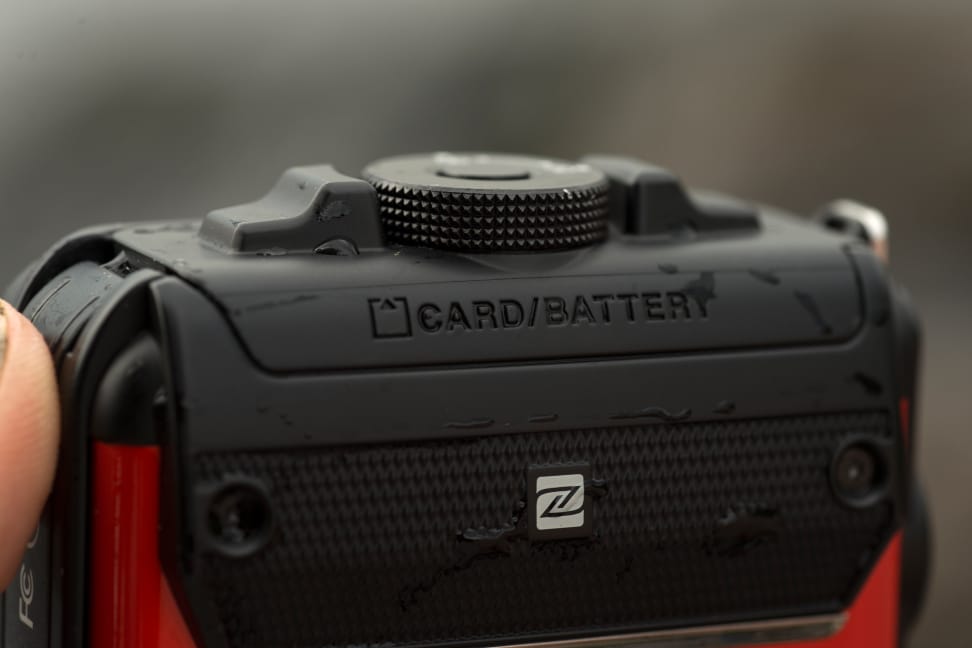 Battery door