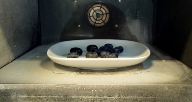Frigondas Microwave Freezer With Blueberries