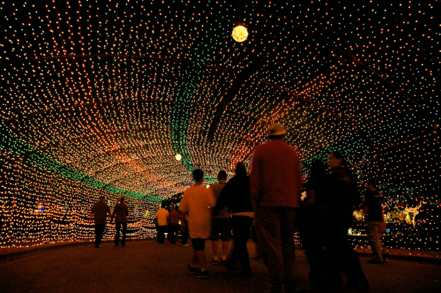 Trail of Lights-flickr austins_only_paper.jpg