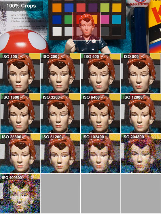 d4s-rosie-crops-fixed.jpg