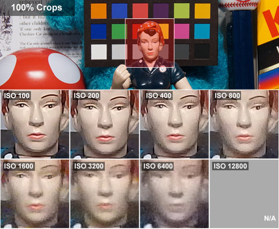 DCI-ROSIE.jpg
