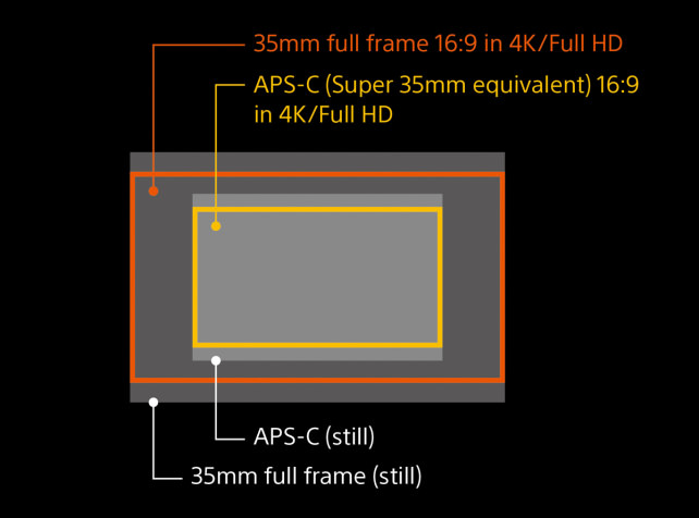 SONY-A7S-ANNOUNCED-SENSORSIZE.jpg
