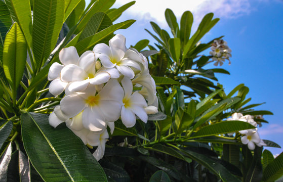 Hawaii Quick Guide-2.jpg