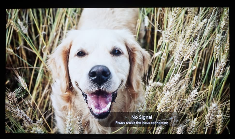 LG-G6-Demo-Color