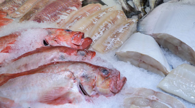 Frozen fish